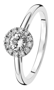 TIMANTTISORMUS GARDA