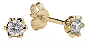 TIMANTTIKORVAKORUT POLARIS