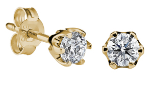 TIMANTTIKORVAKORUT POLARIS