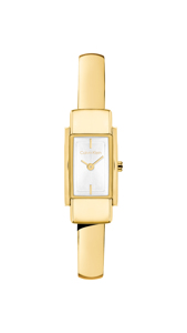 CALVIN KLEIN Moderne